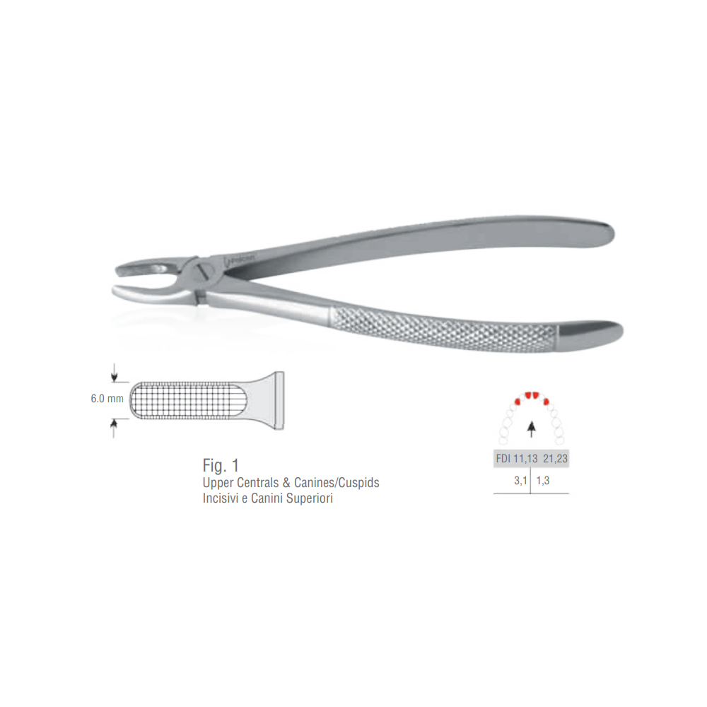 Extraction Forceps Caninos Incisivos y caninos superiores 750 serie European Pattern