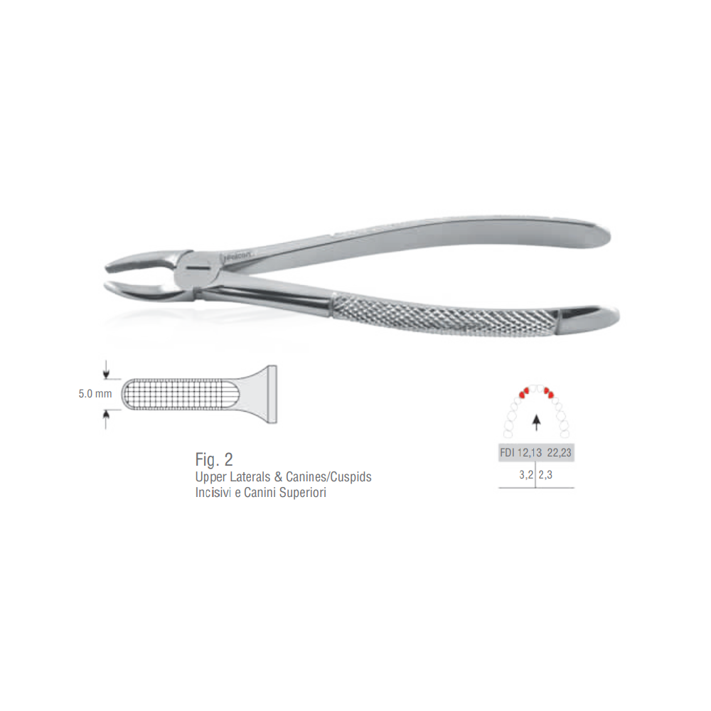 Extraction Forceps Incisivos y caninos superiores 750 serie European Pattern